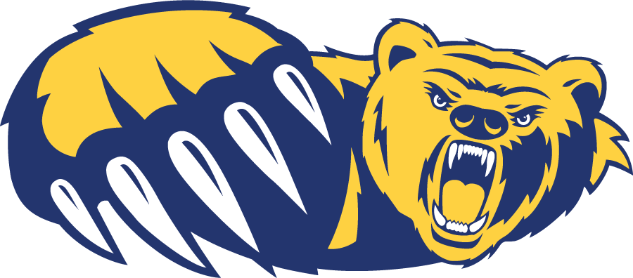 Northern Colorado Bears 2002-2004 Secondary Logo diy DTF decal sticker